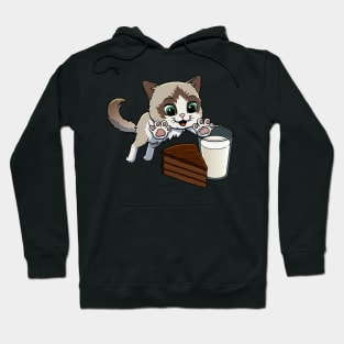 Ragdoll Cat excited to have Chocolate Cake with Milk Hoodie